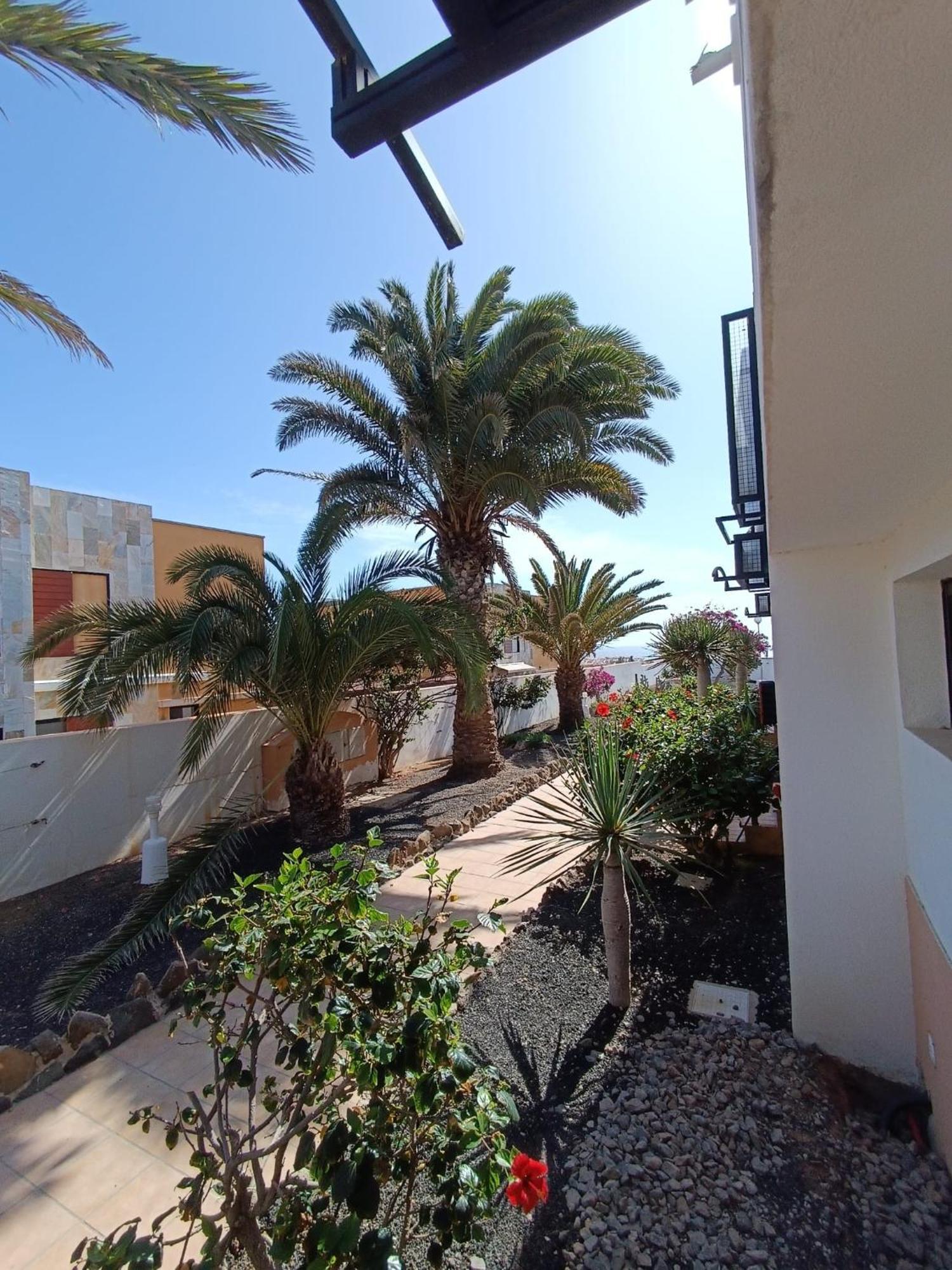 Apartamento Reload Complex Amaya Fuerteventura Costa De Antigua Exterior foto